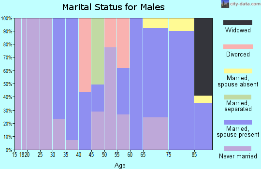 Zip code 20688 marital status for males