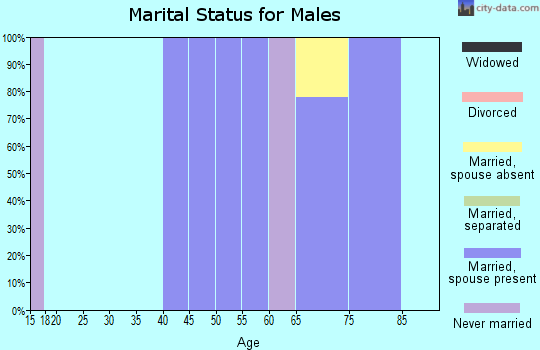 Zip code 20690 marital status for males