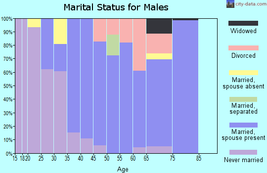 Zip code 20695 marital status for males