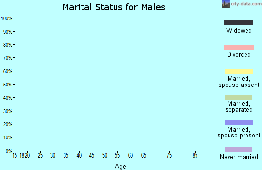 Zip code 20701 marital status for males