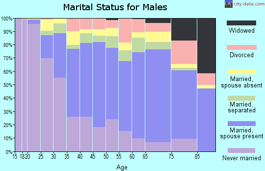 Zip code 20706 marital status for males