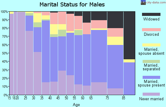 Zip code 20708 marital status for males