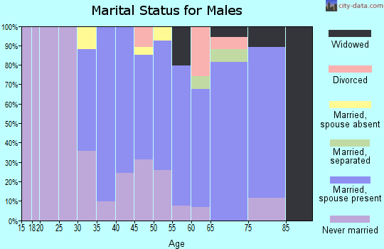 Zip code 20711 marital status for males