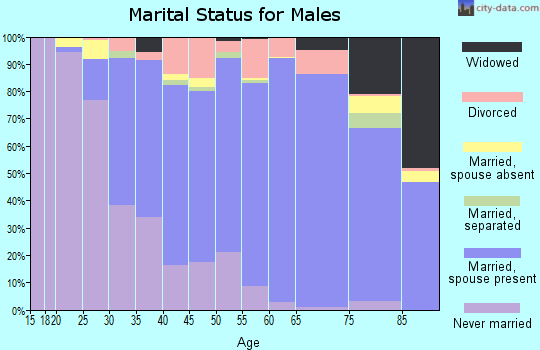 Zip code 20715 marital status for males