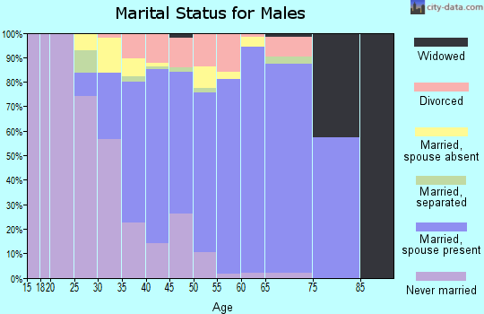 Zip code 20720 marital status for males