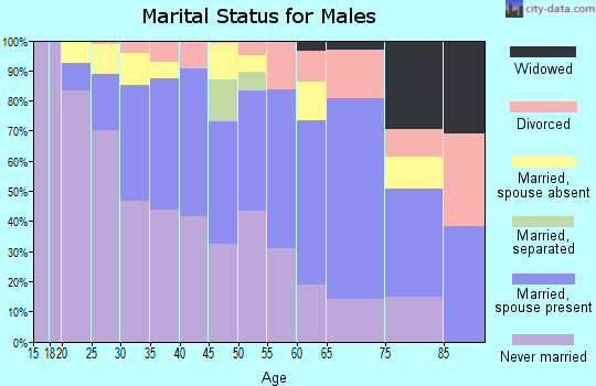 Zip code 20722 marital status for males