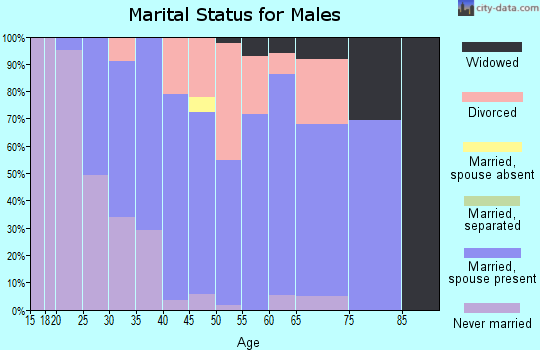 Zip code 20732 marital status for males