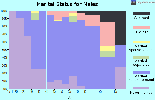 Zip code 20736 marital status for males