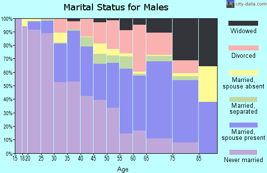 Zip code 20743 marital status for males