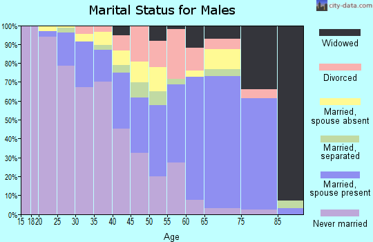 Zip code 20745 marital status for males