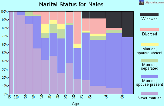 Zip code 20746 marital status for males
