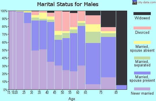 Zip code 20747 marital status for males