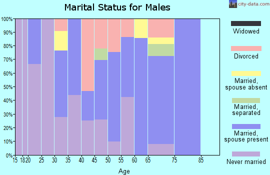 Zip code 20751 marital status for males