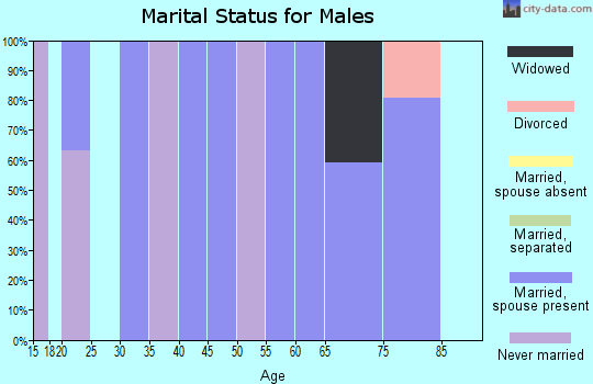 Zip code 20758 marital status for males