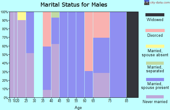 Zip code 20763 marital status for males