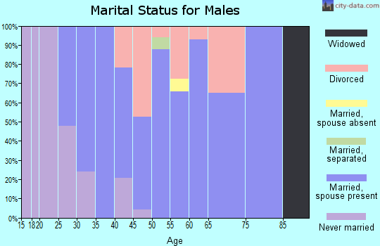 Zip code 20764 marital status for males