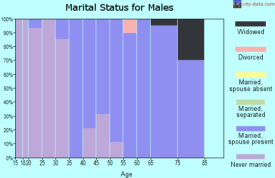 Zip code 20777 marital status for males