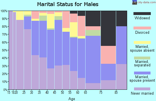 Zip code 20781 marital status for males