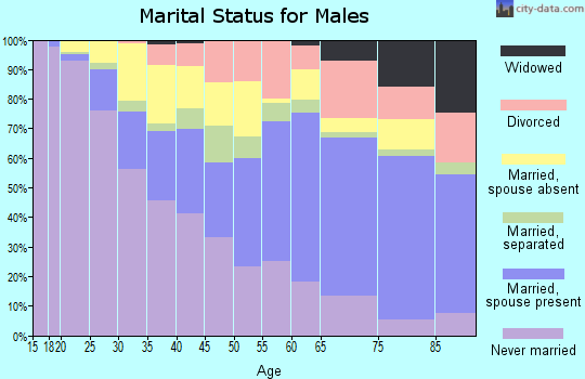 Zip code 20783 marital status for males