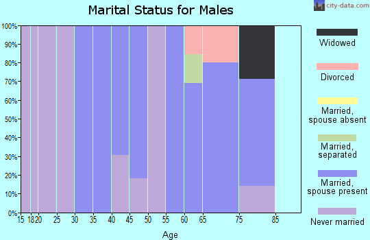 Zip code 20812 marital status for males