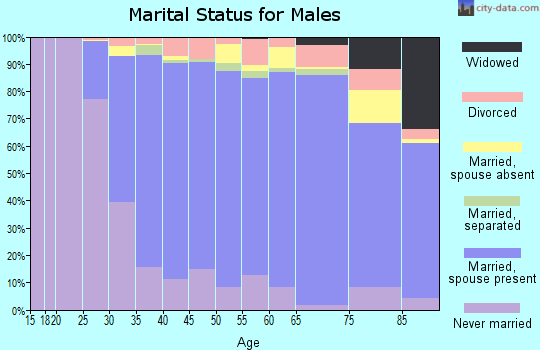 Zip code 20815 marital status for males