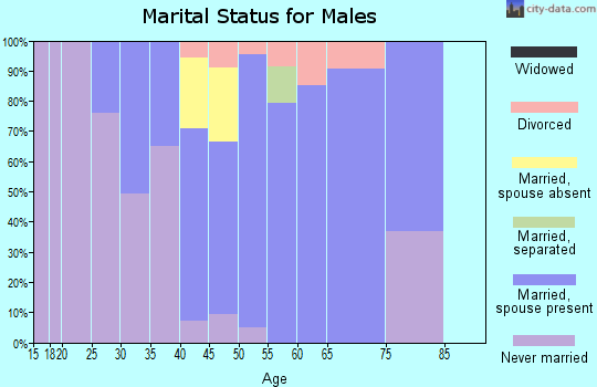 Zip code 20837 marital status for males