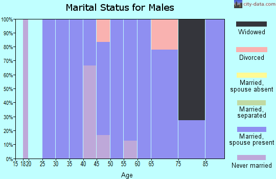 Zip code 20838 marital status for males