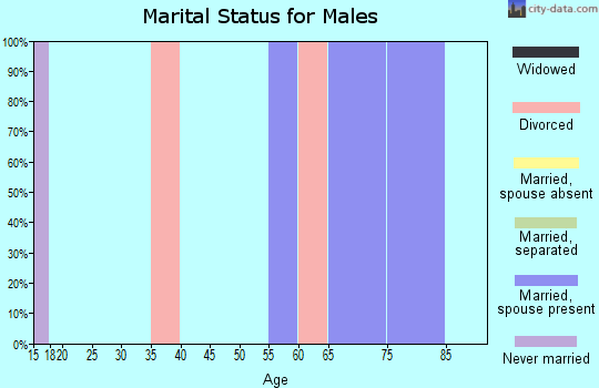Zip code 20839 marital status for males