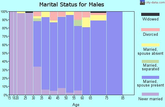 Zip code 20841 marital status for males