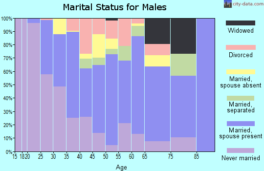 Zip code 20851 marital status for males