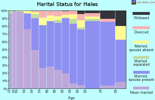Zip code 20853 marital status for males