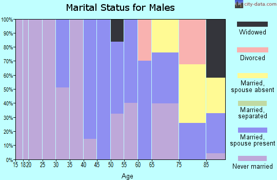 Zip code 20860 marital status for males