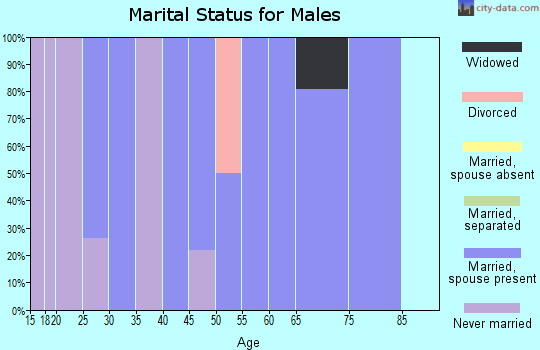 Zip code 20861 marital status for males