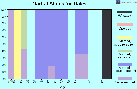 Zip code 20868 marital status for males