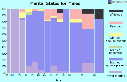 Zip code 20871 marital status for males
