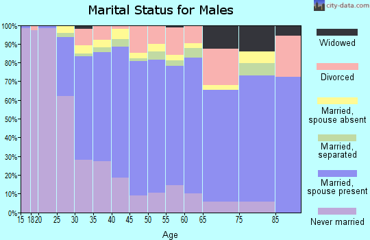 Zip code 20874 marital status for males