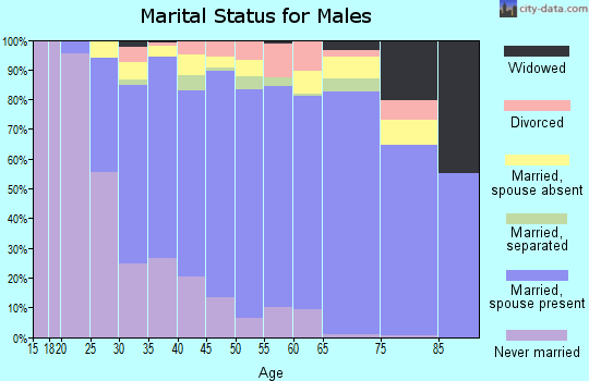 Zip code 20876 marital status for males