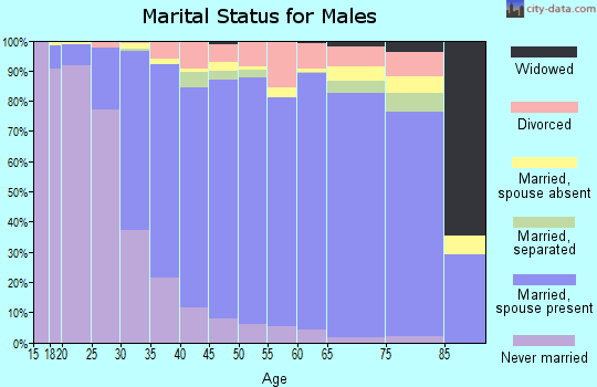 Zip code 20878 marital status for males