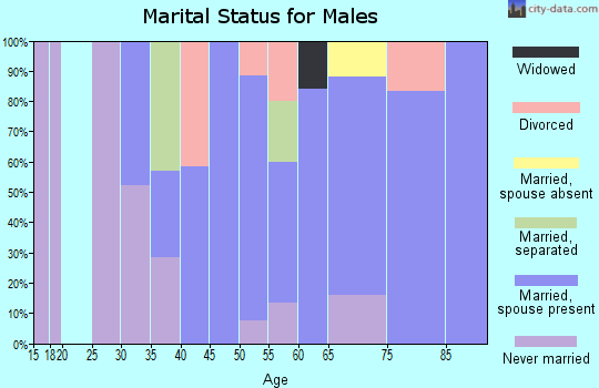 Zip code 20880 marital status for males