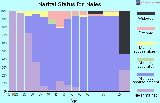 Zip code 20882 marital status for males