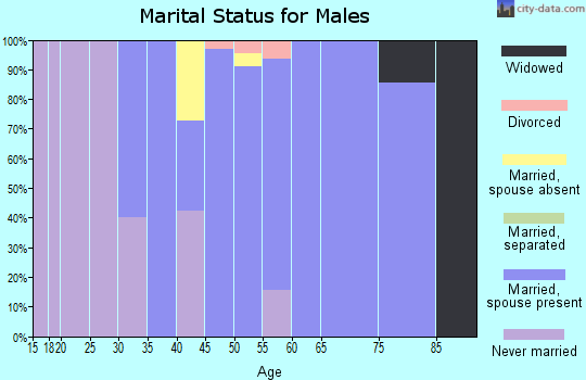 Zip code 20896 marital status for males