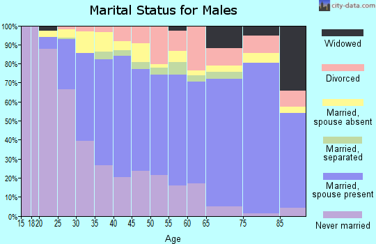 Zip code 20902 marital status for males