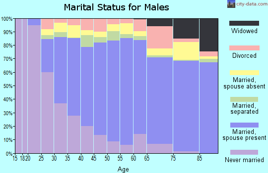 Zip code 20904 marital status for males