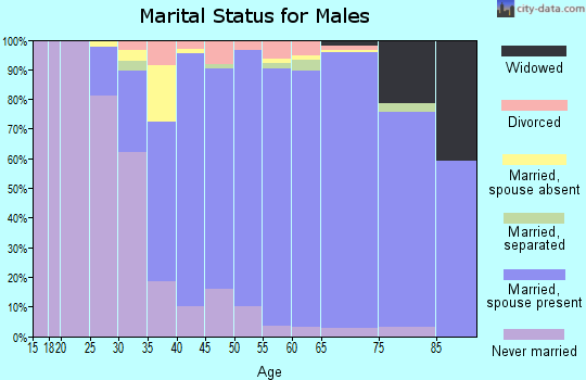 Zip code 20905 marital status for males