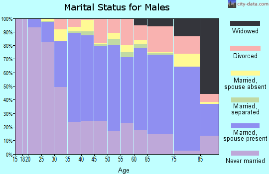Zip code 20910 marital status for males