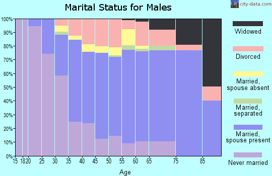 Zip code 21001 marital status for males