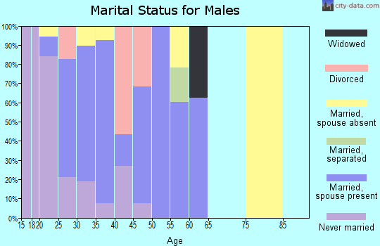 Zip code 21005 marital status for males