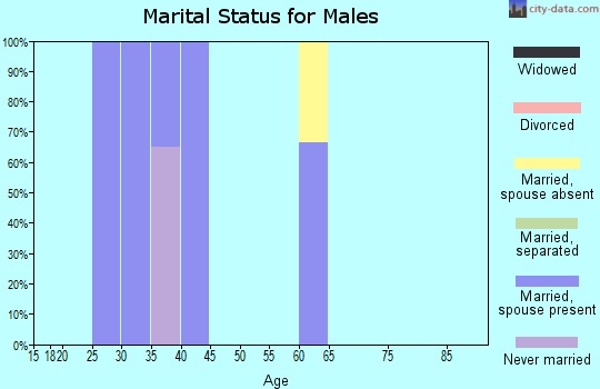 Zip code 21010 marital status for males