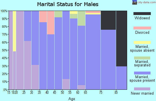 Zip code 21013 marital status for males