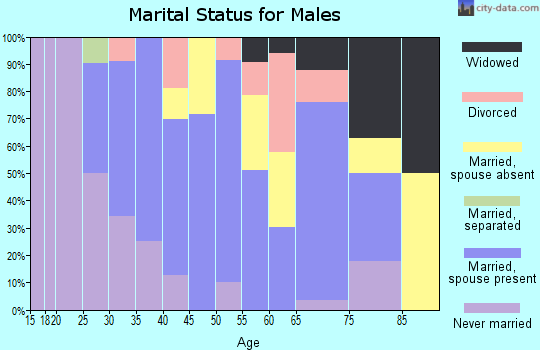 Zip code 21017 marital status for males
